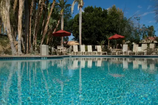The Oasis Resort 8